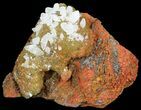 Calcite Crystals on Yellow-Green Adamite - Durango, Mexico #52373-1